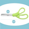 image:imageMr Pen Kids Scissors 6 Pack 5 Inch Tropical Candy Color Ages 4 Stainless Steel Blunt Tip amp Ergonomic Plastic Handle Right amp Left Handed Safety Scissors for Kids Ages 68 School amp PreschoolBright Colors